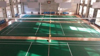 專注品質(zhì)，服務(wù)運(yùn)動(dòng)——北京達(dá)森運(yùn)動(dòng)木地板有限責(zé)任公司