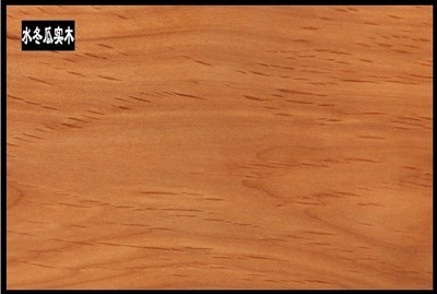 佛山市南海區駿藤家具 熱推新品真藤沙發，引領酒店家具新潮流